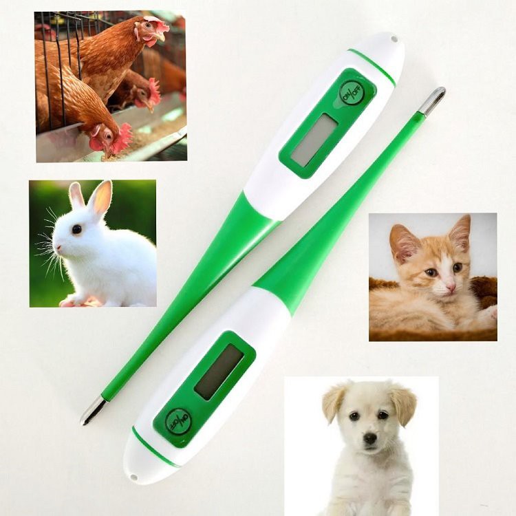 2scene veterinary thermometer.png