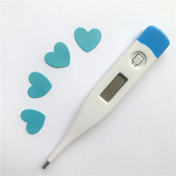 Digital Oral Thermometer