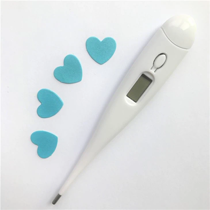 Large Size Thermometer