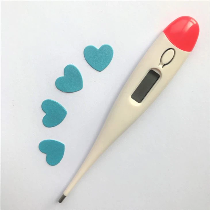 Large Size Thermometer