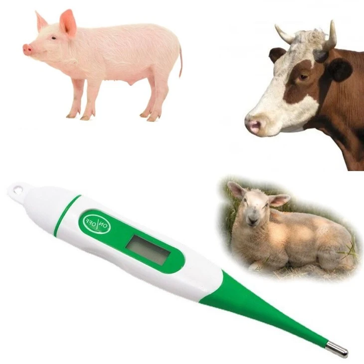 Digital Veterinary Thermometer With Flexible Tip