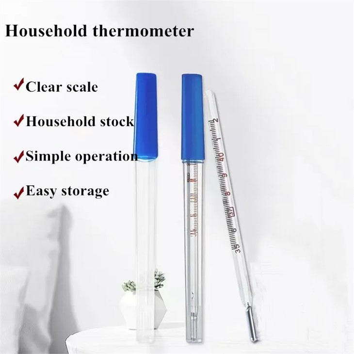 Oral Mercury Thermometer