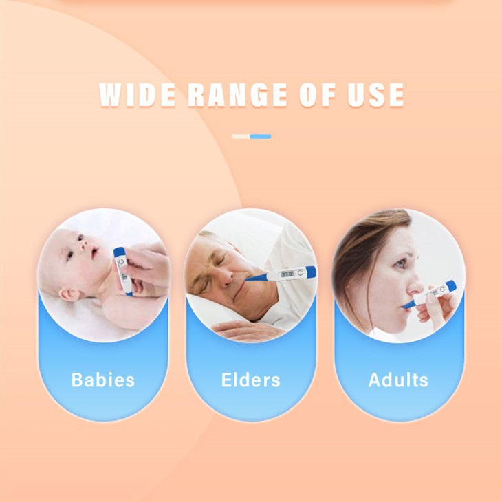 Flexible Thermometer
