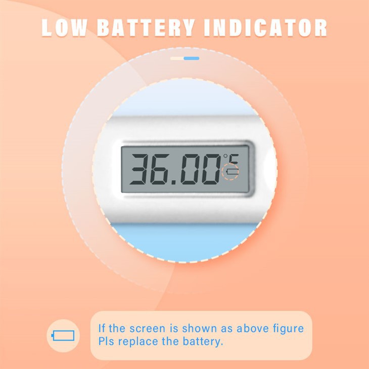 High Accuracy Thermometer