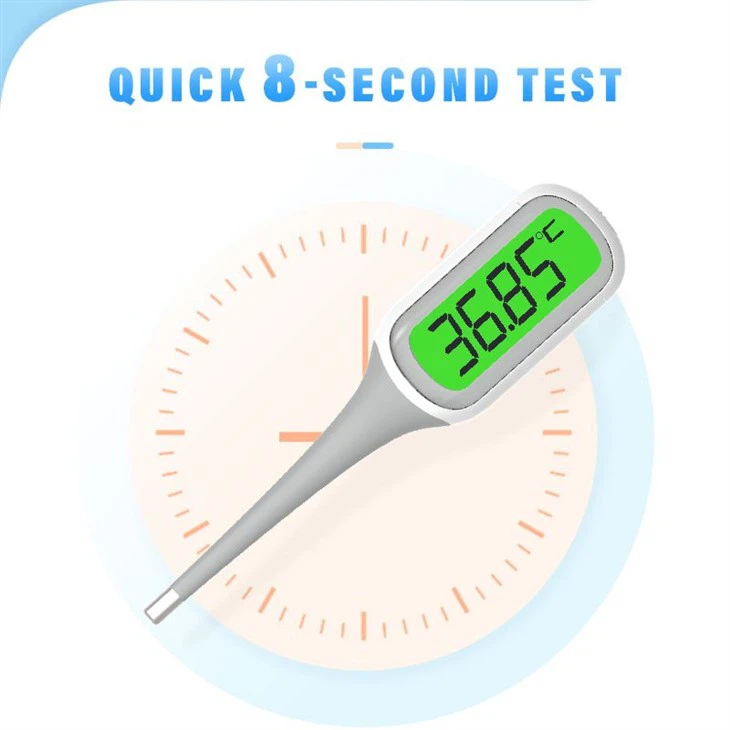 Digital Jumbo LCD Thermometer