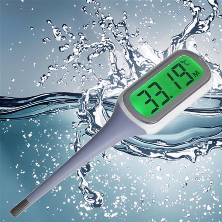 Digital Jumbo LCD Thermometer